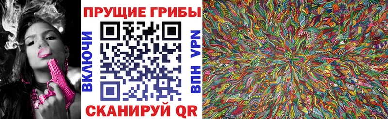 Галлюциногенные грибы Psilocybine cubensis  Пикалёво 