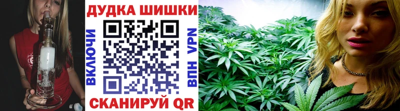 купить закладку Пикалёво Бошки марихуана Bruce Banner